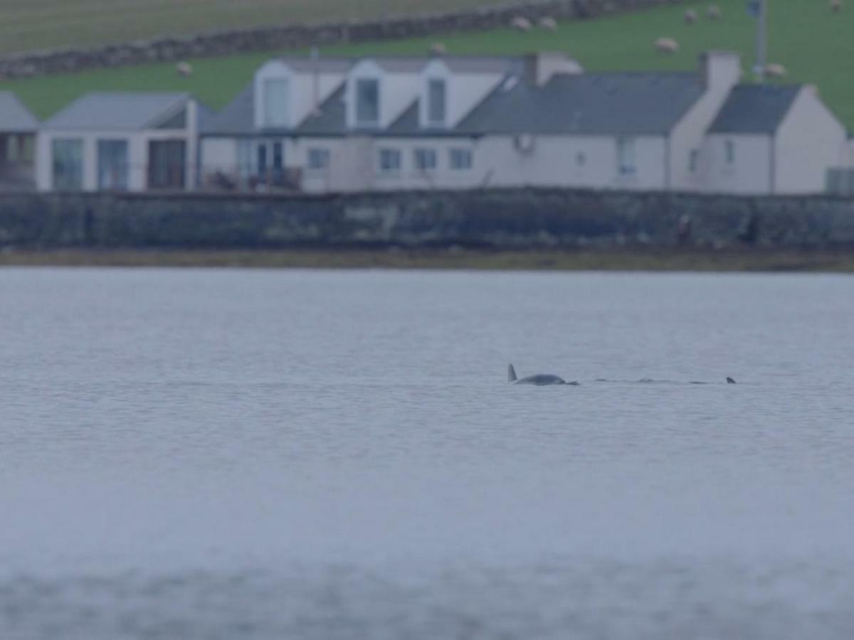 Waterfront House Hotel Finstown Buitenkant foto